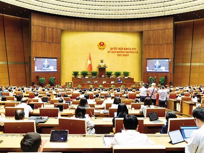 Phiên thảo luận toàn thể về Dự án Luật Phát triển đô thị 