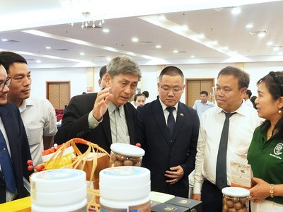 Quảng Trị đang tăng cường hợp tác với các địa phương Nhật Bản trên nhiều lĩnh vực. Ảnh: Trường Nhật