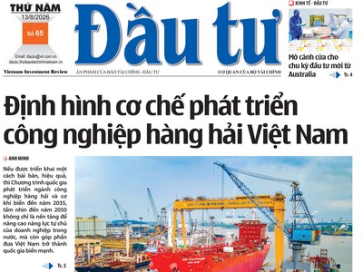 Báo Đầu tư số 65