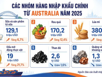Dư địa lớn thúc đẩy thương mại với Australia, New Zealand 
