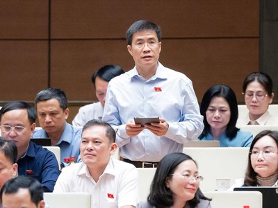 Đại biểu Hoàng Minh Hiếu phát biểu tại hội trường - Ảnh: QH