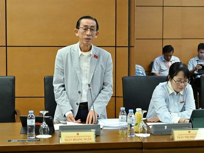 Đại biểu Trần Hoàng Ngân phát biểu tại tổ - Ảnh: QH.