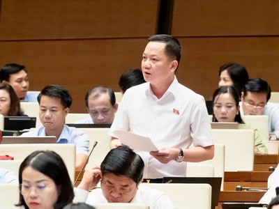 Đại biểu Trịnh Xuân An tham gia thảo luận - Ảnh: QH.