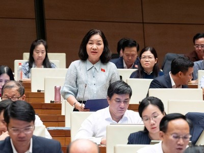 Đại biểu Trương Thị Bích Hạnh phát biểu - Ảnh: QH.