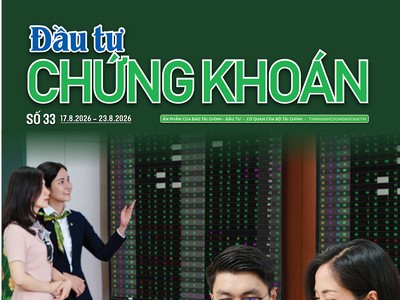 Báo Đầu tư Chứng khoán số 33