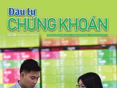 Báo Đầu tư Chứng khoán số 34