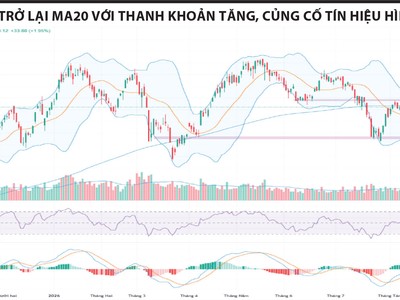 Đáy 2 được xác nhận