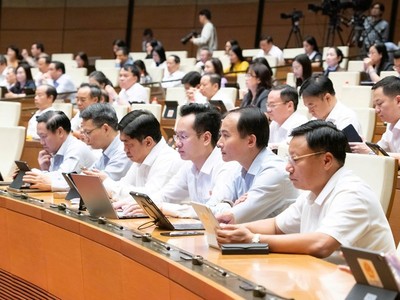 Một phiên họp toàn thể của Quốc hội tại Kỳ họp không thường lệ.