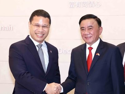 Ủy viên Bộ Chính trị, Thường trực Ban Bí thư Trần Cẩm Tú gặp Chủ tịch Đảng Hành động Nhân dân Singapore, Bộ trưởng Bộ Giáo dục Singapore Desmond Lee. Ảnh: TTXVN.