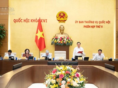 Phó chủ tịch Quốc hội Nguyễn Khắc Định điều hành phiên thảo luận. 