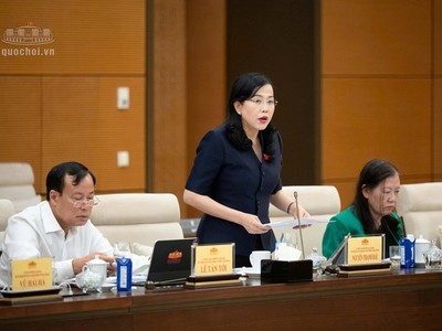  Chủ nhiệm Ủy ban Khoa học, công nghệ và môi trường Nguyễn Thanh Hải phát biểu - Ảnh: QH. 