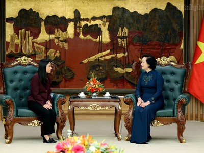 Phó Thủ tướng Phạm Thị Thanh Trà tiếp Đại sứ Hoa Kỳ tại Việt Nam Jennifer Wicks. Ảnh: Chinhphu.vn/Thu Giang