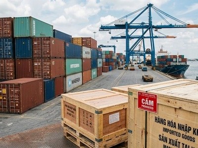 Việt Nam nghiêm cấm mọi hình thức lao động cưỡng bức, tuân thủ nghiêm túc các quy định của Tổ chức Lao động Quốc tế (ILO)...