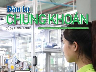 Báo Đầu tư Chứng khoán số 36
