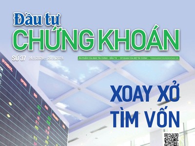 Báo Đầu tư Chứng khoán số 37