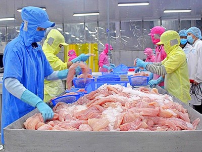 Thủy sản mang về hơn 8 tỷ USD trong 8 tháng năm 2026, nhưng đang gặp nhiều rào cản tại các thị trường 
