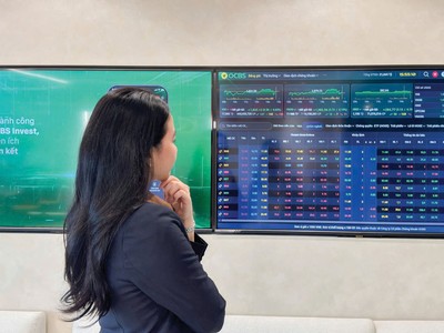 Nhóm dầu khí, vận tải và cao su tích cực hơn mặt bằng chung khi VN-Index tuần qua giảm 2,66%