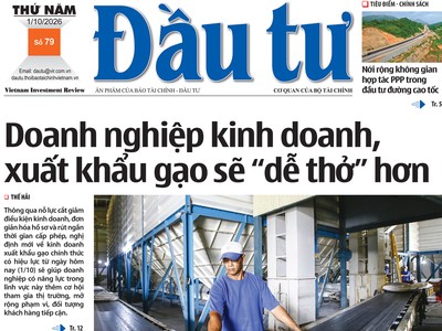 Báo Đầu tư số 79