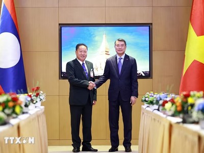 Thủ tướng Lê Minh Hưng tiếp Phó Chủ tịch Ủy ban Trung ương Mặt trận Lào xây dựng đất nước Laopaoxong Navongxay. Ảnh: Dương Giang