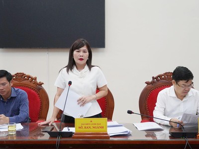 Bà Lê Thị Thương, Phó Giám đốc Sở Tài chính Quảng Trị báo cáo tại buổi làm việc. Ảnh: Đặng Hà