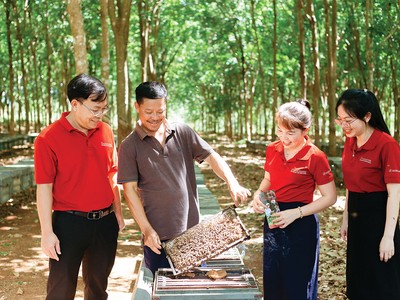 Trong cơ cấu tín dụng xanh của Agribank, lâm nghiệp bền vững chiếm tỷ trọng hơn một nửa tổng dư nợ