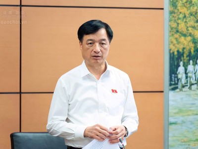 Trưởng Ban Tổ chức Trung ương Nguyễn Duy Ngọc phát biểu tại tổ - Ảnh: QH.
