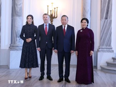 Tổng Bí thư, Chủ tịch nước Tô Lâm hội kiến Nhà vua Đan Mạch Frederik X 