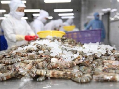 Doanh nghiệp cần kiểm soát chất lượng, minh bạch chuỗi cung ứng, tuân thủ quy tắc xuất xứ cho hàng xuất khẩu sang khu vực EFTA. 