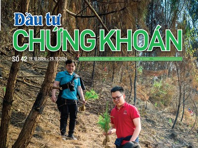 Báo Đầu tư Chứng khoán số 42