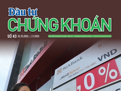 Báo Đầu tư Chứng khoán số 43
