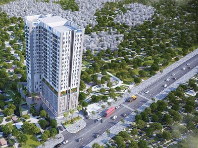 Dreamhouse (DRH) chưa hạch toán doanh thu từ Dự án D-Vela trong năm nay