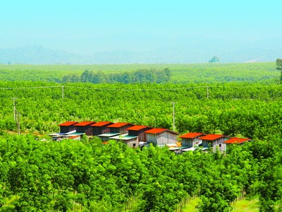 Hàng chục triệu cổ phiếu giá sàn đã được hấp thụ hết, điều tích cực gì đang xảy ra ở HNG?