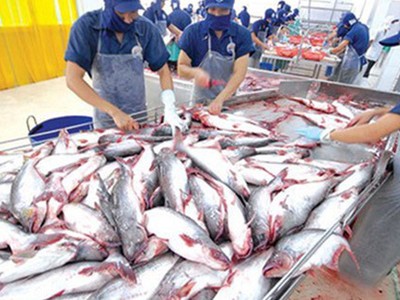 Năm 2018, Nam Việt (ANV) lãi hơn 604 tỷ đồng, tăng gấp hơn 3 lần năm 2017