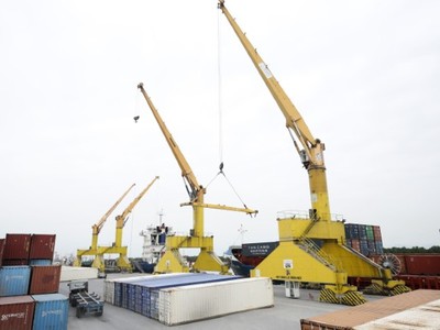 Tân Cảng Logistic (TCL) chuẩn bị chia cổ tức 50% bằng tiền mặt