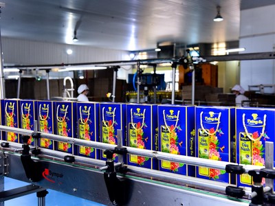 Dầu Tường An lãi 177 tỷ đồng năm 2020, tăng 30%