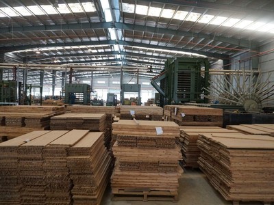 Sao Thái Dương (SJF) đặt mục tiêu có lãi sau một năm lỗ nặng