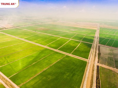 Vừa mua vào 10 triệu cổ phiếu, Phó chủ tịch TAR tiếp tục đăng ký mua thêm 5 triệu cổ phiếu