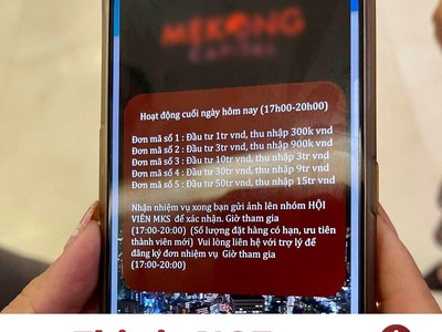 Nguồn: CEO Mekong Capital