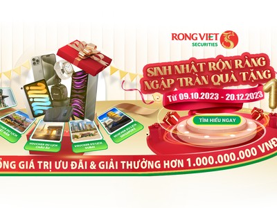 9 tháng, Chứng khoán Rồng Việt (VDS) lãi 320 tỷ đồng, vượt 18% kế hoạch năm