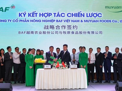 BAF ký kết hợp tác chiến lược với Tập đoàn Chăn nuôi – Thực phẩm hàng đầu thế giới Muyuan 