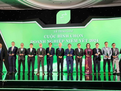 Top 10 Giải thưởng Báo cáo Phát triển bền vững 2024 