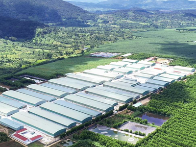 Hoàng Anh Gia Lai (HAG) đã tất toán toàn bộ khoản nợ trái phiếu