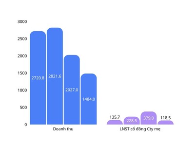 Kết quả kinh doanh của TPS qua các năm