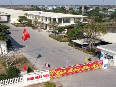 SVD dự kiến trả cổ tức 8% bằng tiền mặt, chuẩn bị mở thêm nhà máy mới