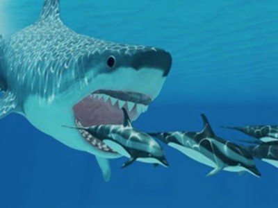 Doanh nghiệp “cạn tiền” và manh nha những cuộc bán mình