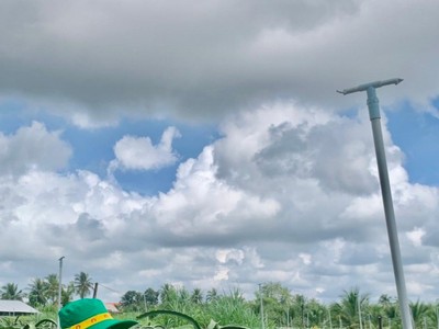 Nông dân thắng lớn mùa Tết cuối năm nhờ NPK Cà Mau