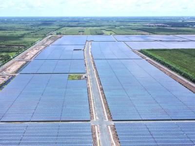 Bamboo Capital (BCG) duy trì dòng tiền vững chắc, thúc đẩy kế hoạch tăng vốn chủ sở hữu