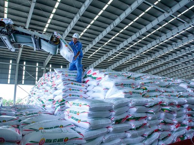 Những đốm sáng trong bức tranh kinh doanh