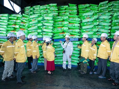 Đưa phân bón về mức thuế suất GTGT 5% là phù hợp