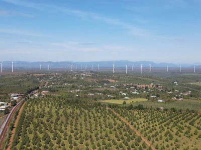 Kinh Bắc (KBC) phát triển điện gió tại Gia Lai